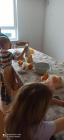 IMG-20241005-WA0007 (Medium)