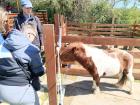 IMG_20250409_141403 (Medium)