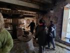 IMG_20250409_161158 (Medium)