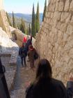 IMG_20250409_180948 (Medium)