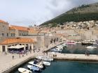 IMG_20250410_121034 (Medium)