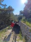 IMG_20250411_154446 (Medium)