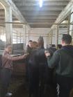 IMG-20250517-WA0018 (Medium)