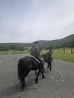 IMG-20250517-WA0019 (Medium)