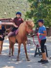 IMG-09959f81889a83324f8eb8d49e9fc0ce-V (Medium)