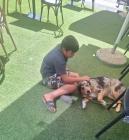 IMG-20250826-WA0005 (Medium)