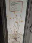 IMG-20250925-WA0011