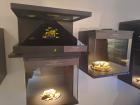 IMG-20250925-WA0012